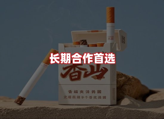 专业团队